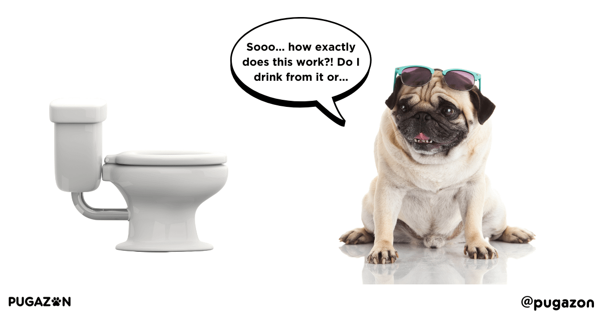 Common Potty Training Mistakes and How to Avoid Them