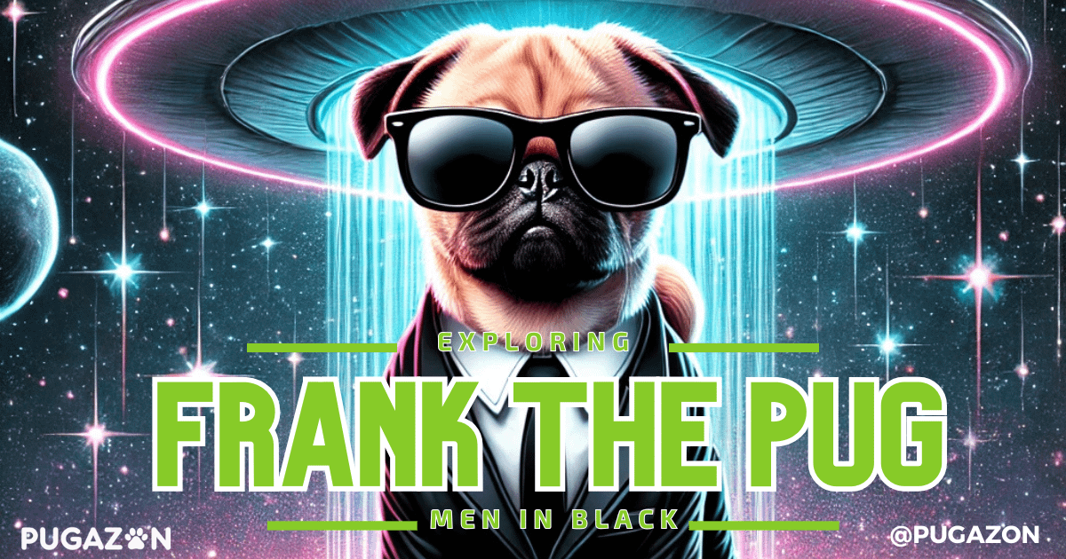 Frank the Pug - Men in Black