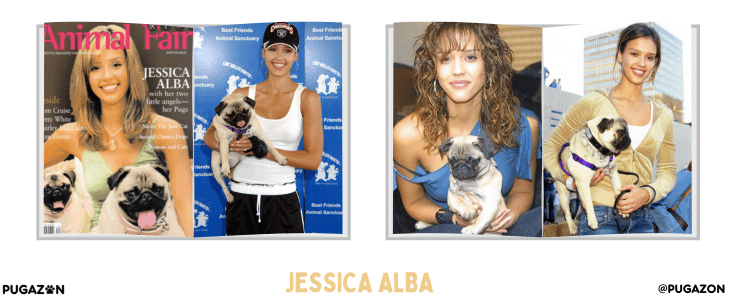 Jessica Alba and Pugs