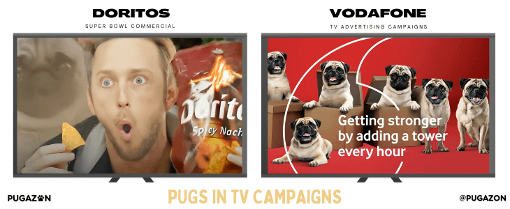 Pugs in TV Advertising Campaigns