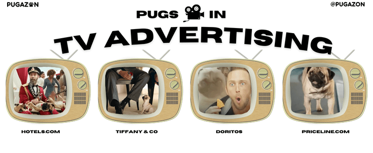 pugs in tv advertising