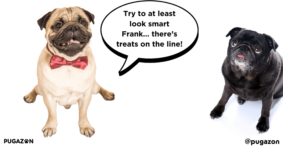 Positive Reinforcement Techniques for Training Stubborn Pugs