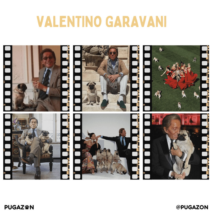 Valentino Garavani fashion icon and Pugs