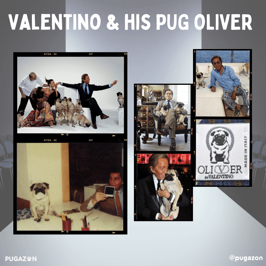 Valentino and his iconic pugs in history