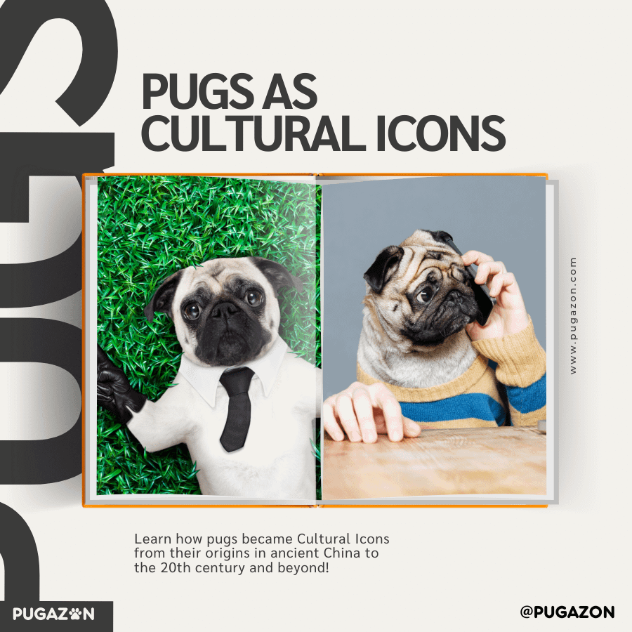 The Contemporary Pug: A Blend of History and Modernity